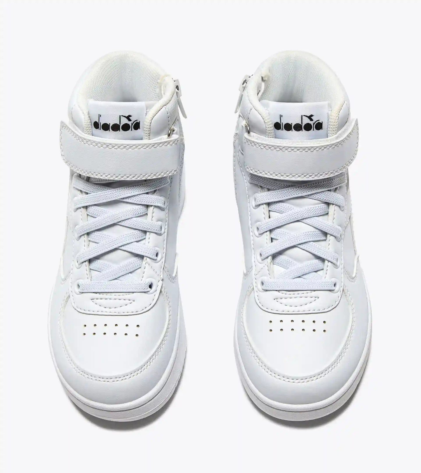RAPTOR MID PS