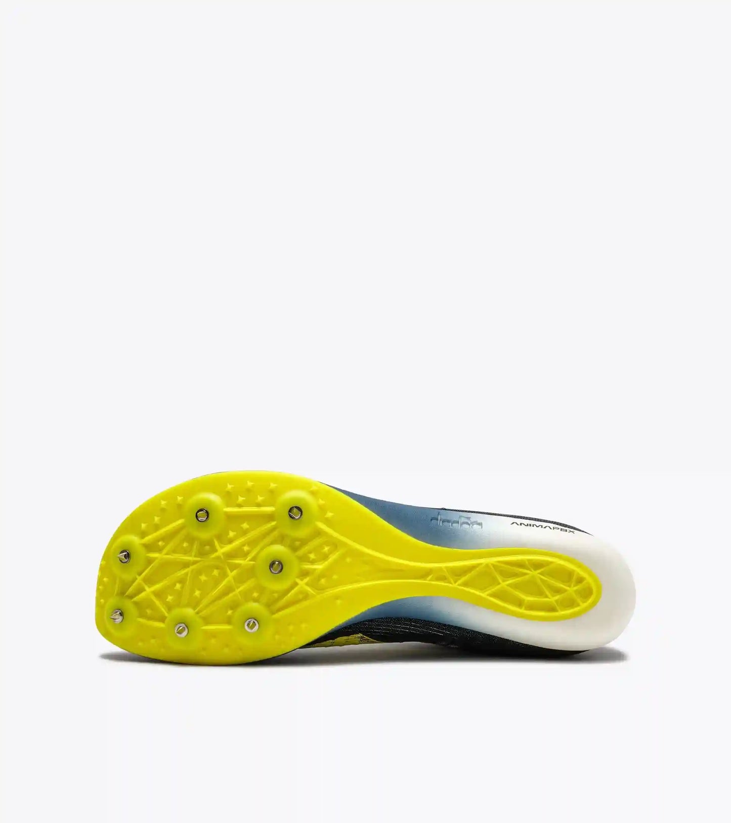 VELOCITA CARBON