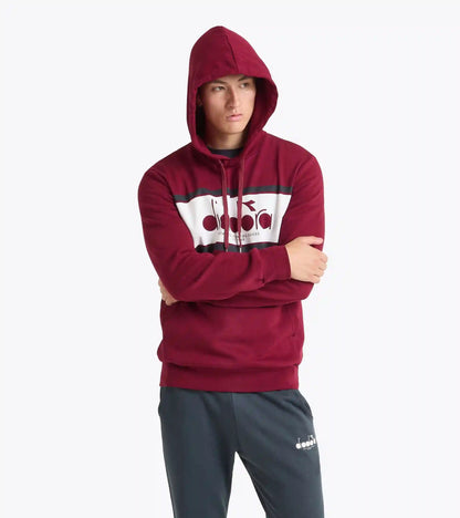 HOODIE LOGO