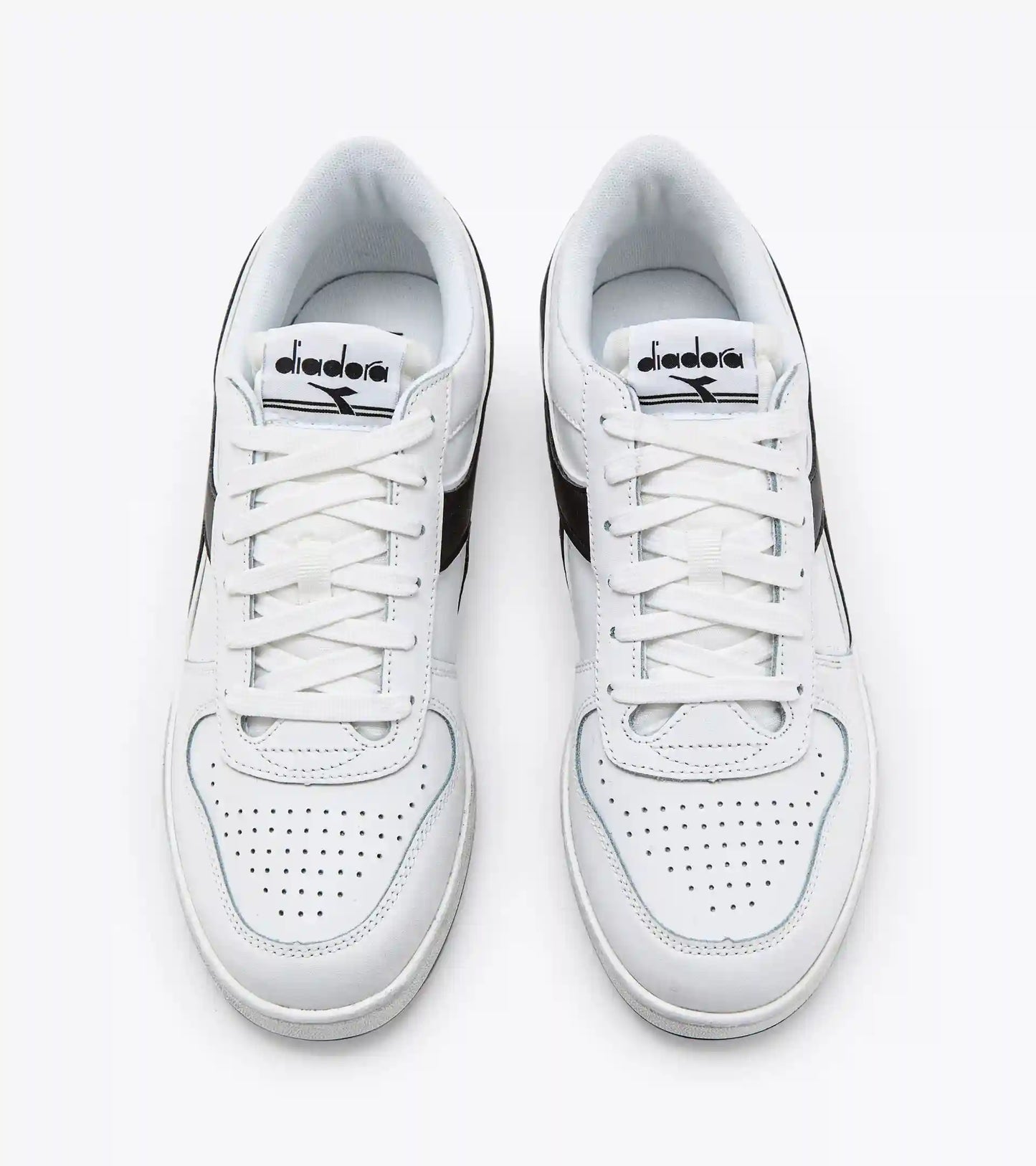 MAGIC BASKET LOW ICONA