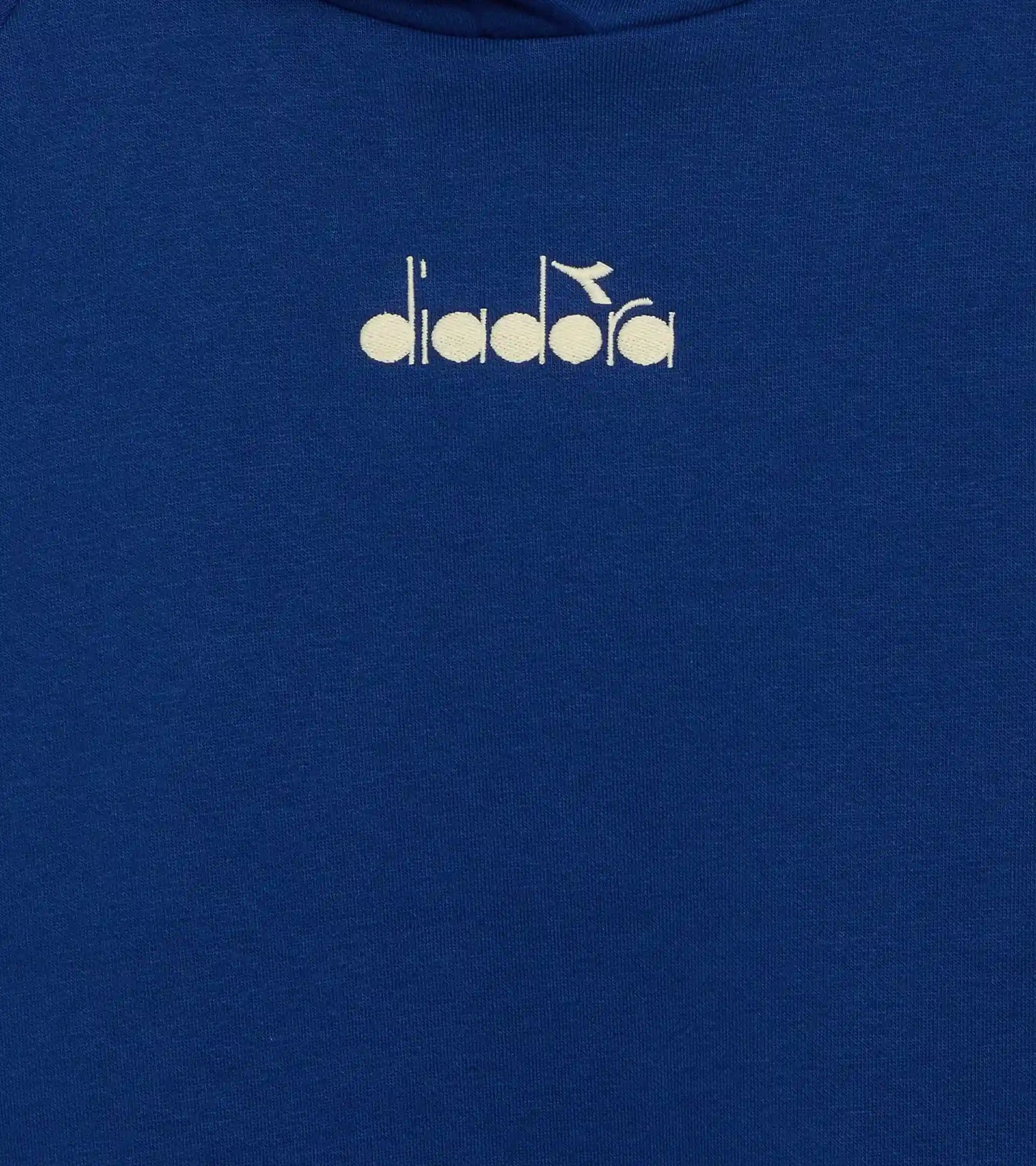 L. HOODIE LOGO (BR)