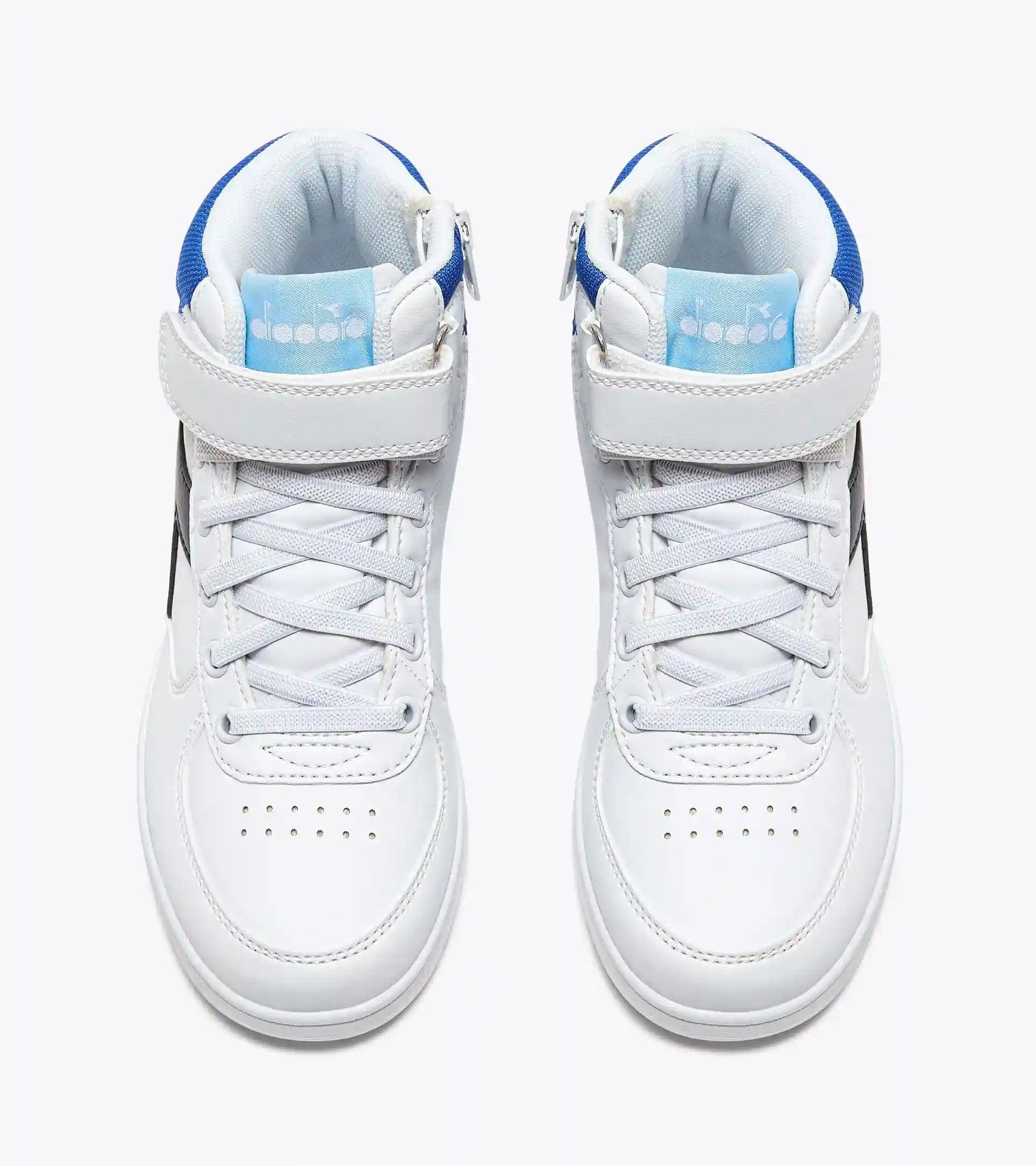 RAPTOR MID PS