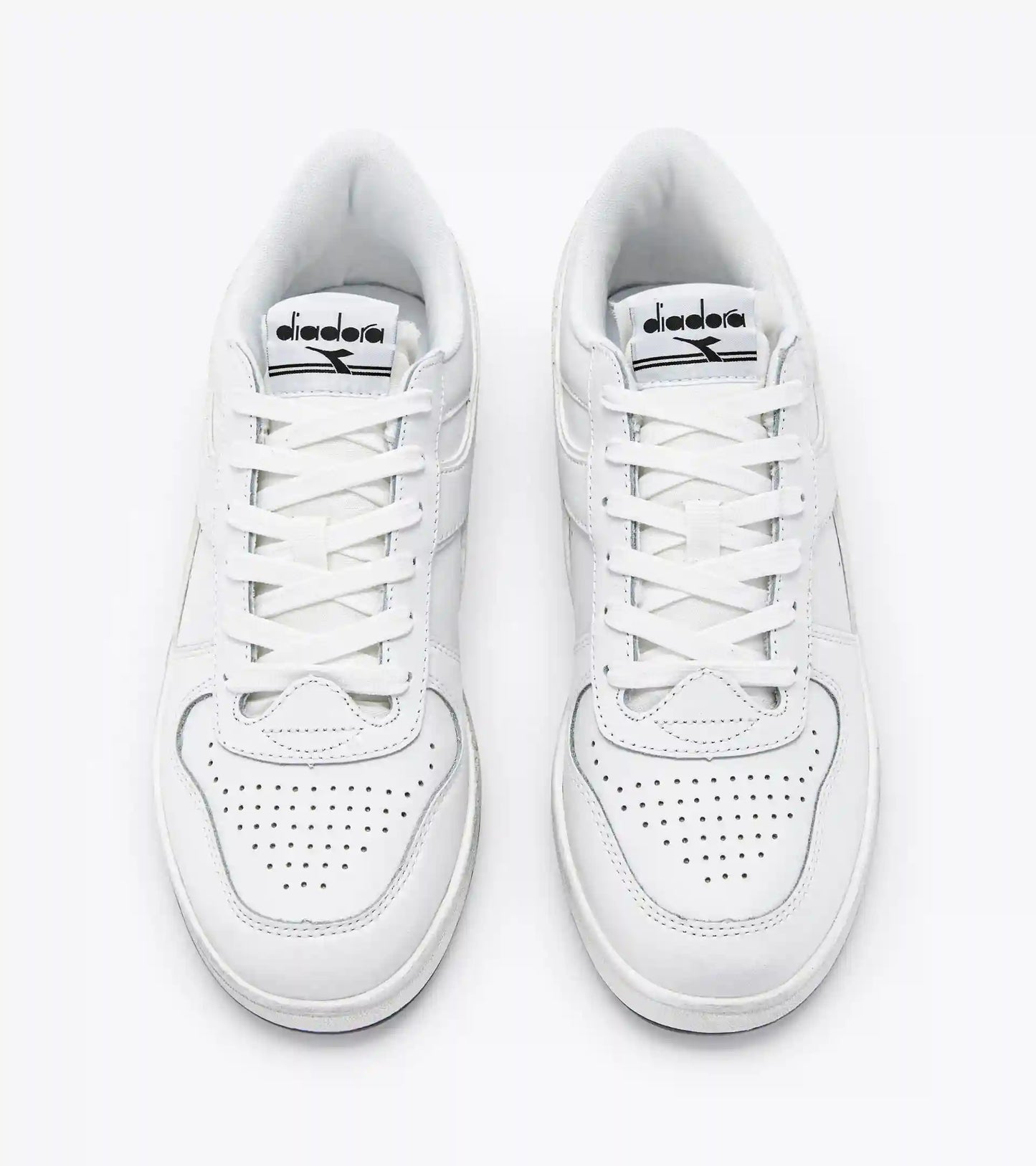 MAGIC BASKET LOW ICONA